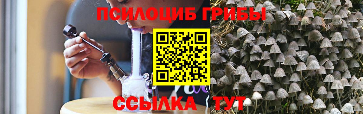 Галлюциногенные грибы ЛСД Муром